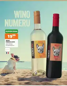 Stokrotka Wino białe French Dog Gros Manseng słodkie oferta