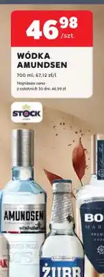 Stokrotka Wódka Amundsen oferta