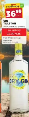 Stokrotka Gin Tillston oferta