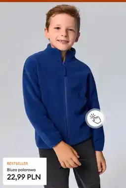 Sinsay Bluza polarowa oferta