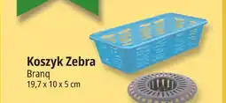 E.Leclerc Koszyk Zebra Branq 19,7x10x5 cm oferta