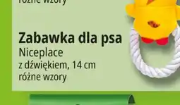 E.Leclerc Zabawka dla psa Niceplace z dźwiękiem oferta