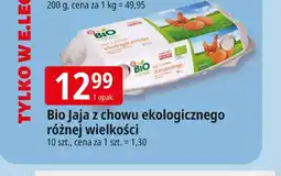 E.Leclerc Jajka kurze z chowu ekologicznego różnej wielkości Bio Village oferta