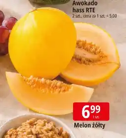 E.Leclerc Melon żółty oferta