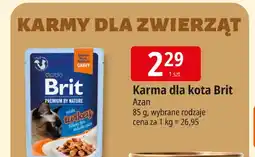 E.Leclerc Karma dla kota Brit oferta