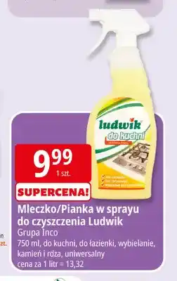 E.Leclerc Mleczko/Pianka w sprayu do czyszczenia Ludwik do łazienki oferta