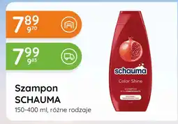 Eurocash Cash & Carry Szampon Schauma oferta