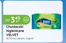 Eurocash Cash & Carry Chusteczki higieniczne Velvet oferta