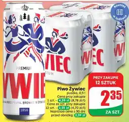 Dino Piwo Żywiec oferta