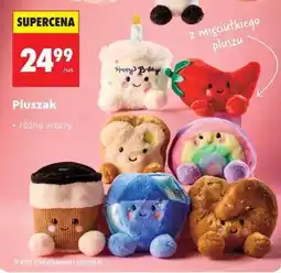 Biedronka Pluszak oferta