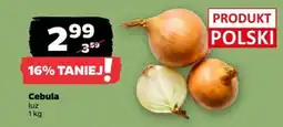 Netto Cebula luz oferta