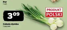 Netto Cebula dymka oferta