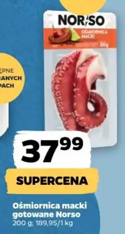 Netto Ośmiornica macki gotowane Norso oferta