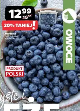 Netto Borówka oferta