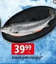 E.Leclerc Łosoś patroszony oferta