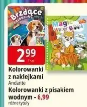 E.Leclerc Kolorowanka z pisakiem magic water book Andante oferta