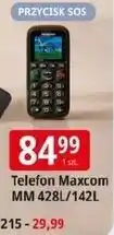 E.Leclerc Telefon komórkowy mm142 Maxcom oferta