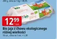 E.Leclerc Jaja ekologiczne Wiodąca Marka Bio Village oferta