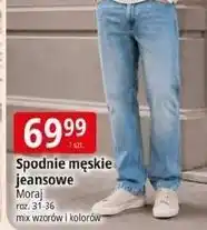 E.Leclerc Spodnie męskie jeans 31-36 Moraj oferta