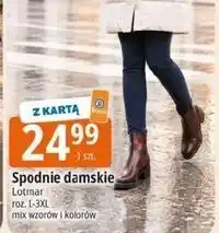 E.Leclerc Spodnie damskie l-3xl Lotmar oferta