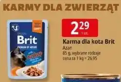 E.Leclerc Karma dla kota turkey Brit Premium By Nature oferta