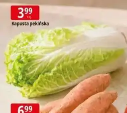 E.Leclerc Kapusta pekińska oferta