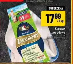 Polomarket Kurczak oferta