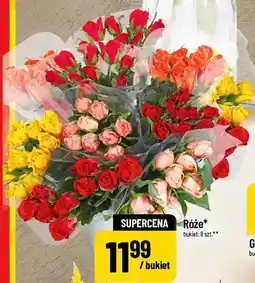 Polomarket Róże oferta