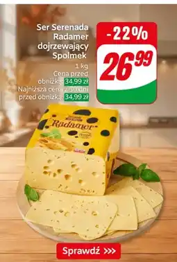 Dino Ser Serenada Radamer dojrzewający Spomlek oferta