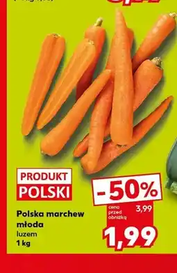 Kaufland Marchew młoda polska oferta