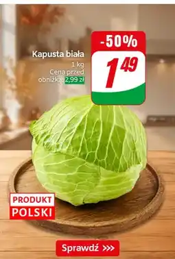 Dino Kapusta biała oferta
