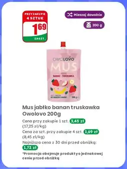 Dino Mus jabłko banan truskawka Owolovo oferta