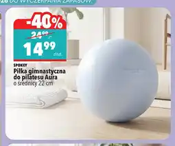 Biedronka Piłka gimnastyczna do pilatesu Aura Spokey oferta