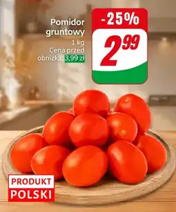 Dino Pomidory gruntowe oferta