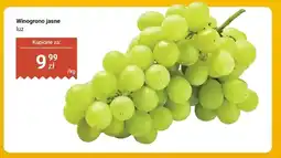 Dino Winogrono jasne luz oferta