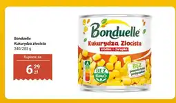 Dino Kukurydza złocista Bonduelle oferta