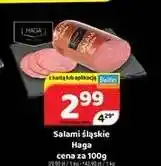 Delfin Salami śląskie Haga oferta