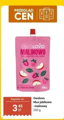 Dino Mus jabłkowo-malinowy Owolovo Malinowo oferta
