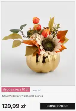 Home&You Sztuczne kwiaty w doniczce Glories Home & you oferta