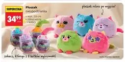 Biedronka Pluszak niespodzianka Mimi Kittens oferta