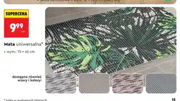 Biedronka Mata uniwersalna 75x45 cm oferta