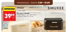 Biedronka Chlebak prostokątny 30x18 cm Smukee oferta