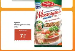 Dino Włoszczyzna suszona Cykoria oferta