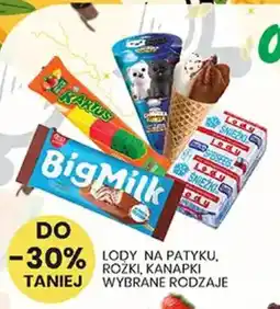 Wafelek BigMilk oferta