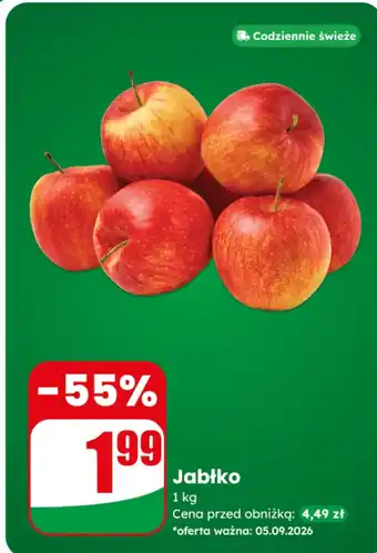 Dino Jabłko oferta
