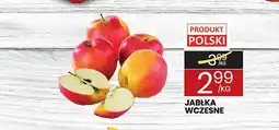 Wafelek Jabłka wczesne oferta