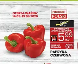 Wafelek Papryka czerwona oferta