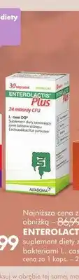 SuperPharm Suplement diety z żywymi bakteriami L. casei DG Enterolactis Plus oferta
