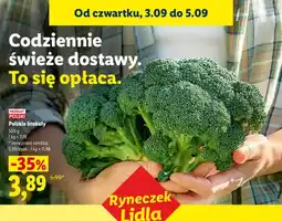 Lidl Brokuły polskie Ryneczek Lidla oferta