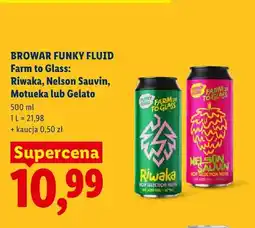 Lidl Piwo Funky Fluid Farm to Glass Riwaka oferta